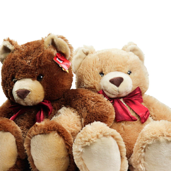 anee park meškinas su kaspinu