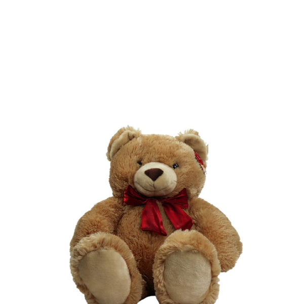 anee park meškinas su kaspinu šviesus