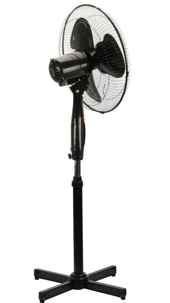 king cool pastatomas ventiliatorius