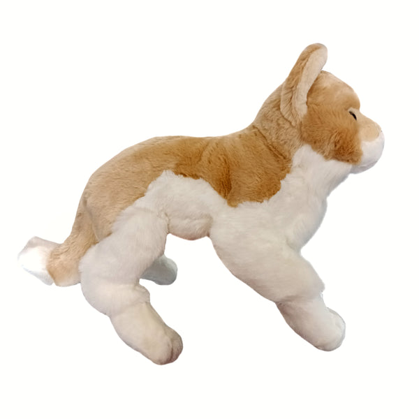 Anee Park Pliušinis Tigriukas