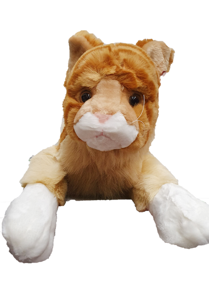 anee park pliušinis tigriukas tigriukas su dryžiais