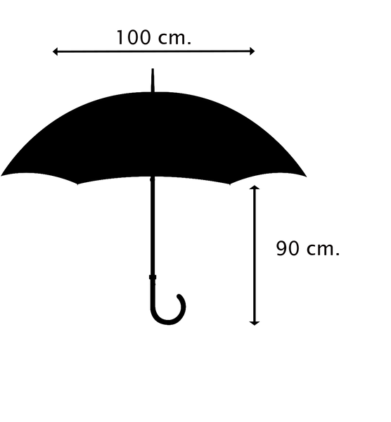 dvisluoksnis sulankstomas skėtis