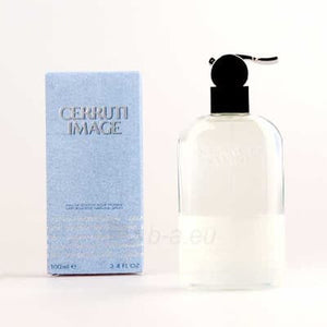 Vyriški kvepalai Nino Cerruti Image 100ml EDT kaina